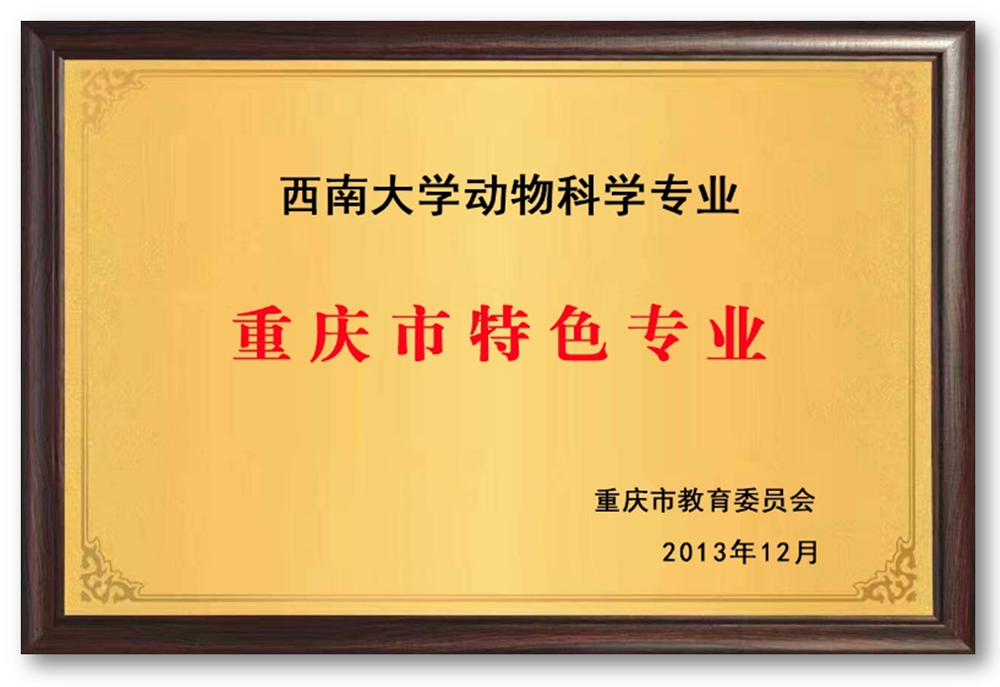重庆市特色专业.png